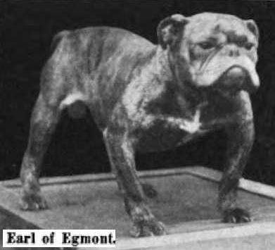 Earl of Egmont | Bulldog 