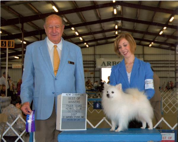 Z'Best Tikis A E Pokiemon | American Eskimo Dog 