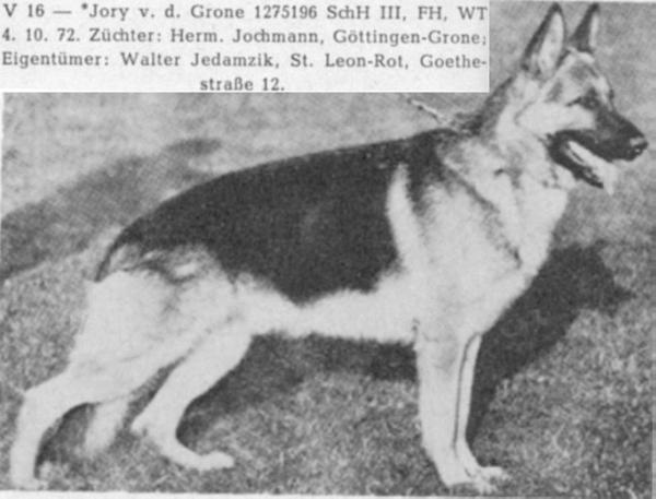 Jory von der Grone | German Shepherd Dog 