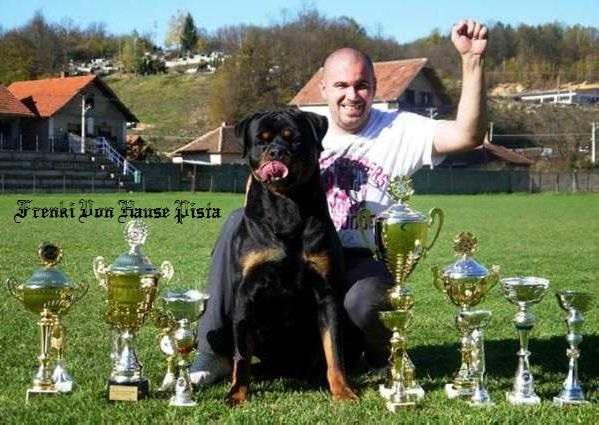 Frenki von Hause Pista | Rottweiler 