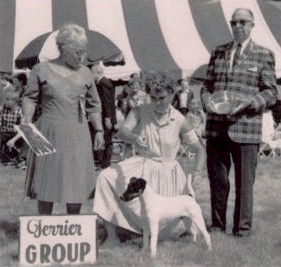 Foremark Ebony Box Of Foxden | Smooth Fox Terrier 