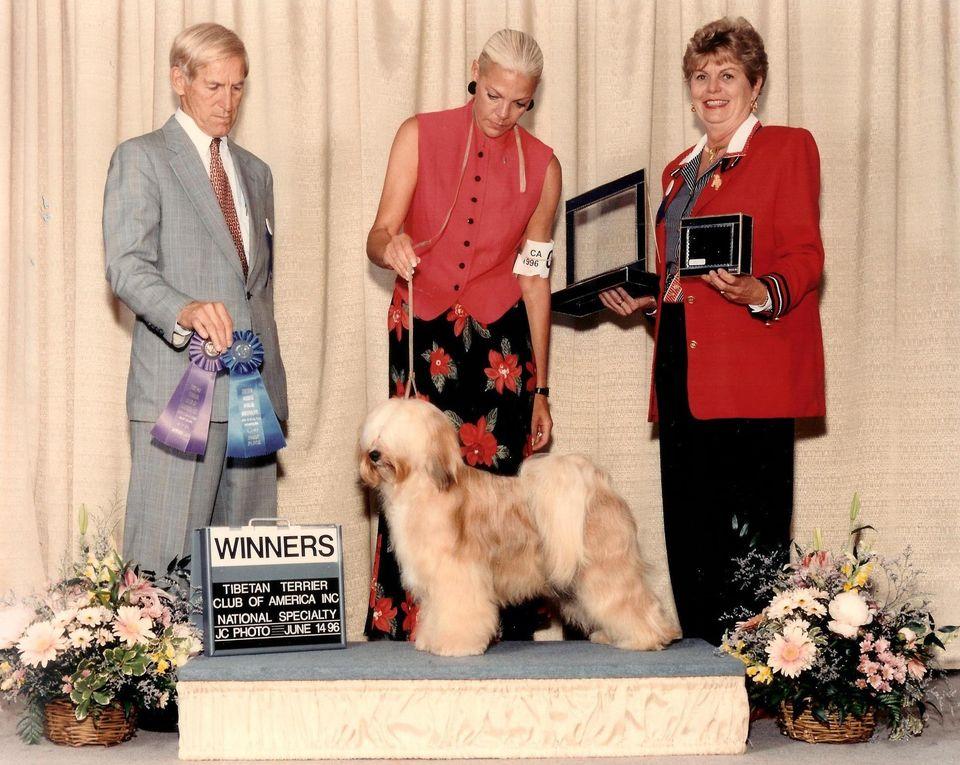 CHARSU TOTAL RECALL | Tibetan Terrier 