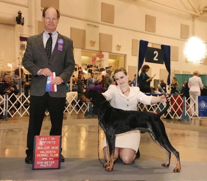 Heritage RazorRidge Top Me Off | Bluetick Coonhound 