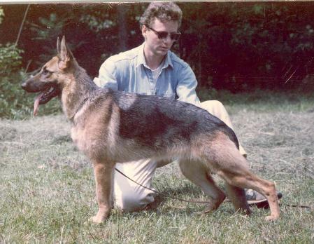 Jessica di Ca' San Marco | German Shepherd Dog 