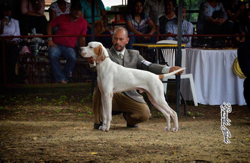 MONILU'S JUAN VALDEZ AI | Pointer 