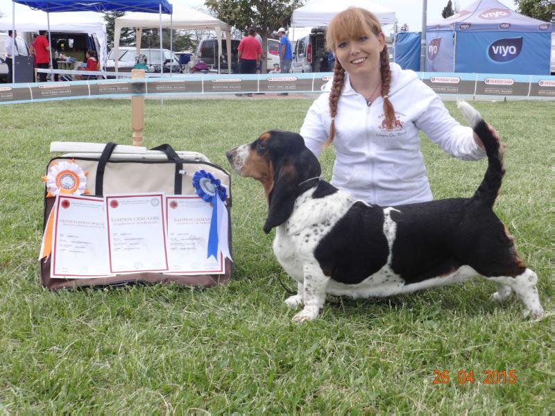 Ithaca Queen's Hermelin | Basset Hound 