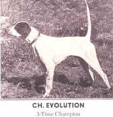 EVOLUTION | Pointer 