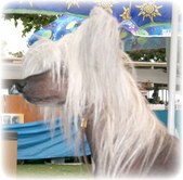 Kalon's Azuryn Emperor | Chinese Crested 