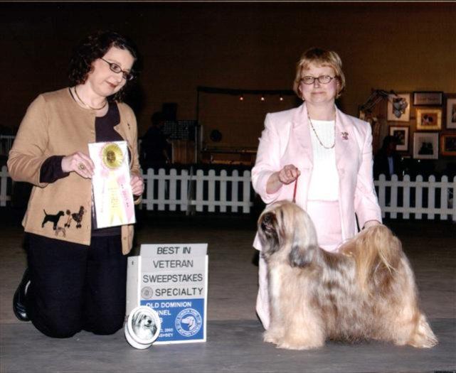 TARAGIRI FLORA DANICA | Tibetan Terrier 