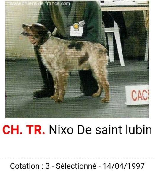 NIXO de Saint Lubin | Brittany 