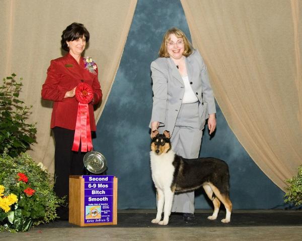 Rainbow's Dancer Of The Dark | Smooth Collie 