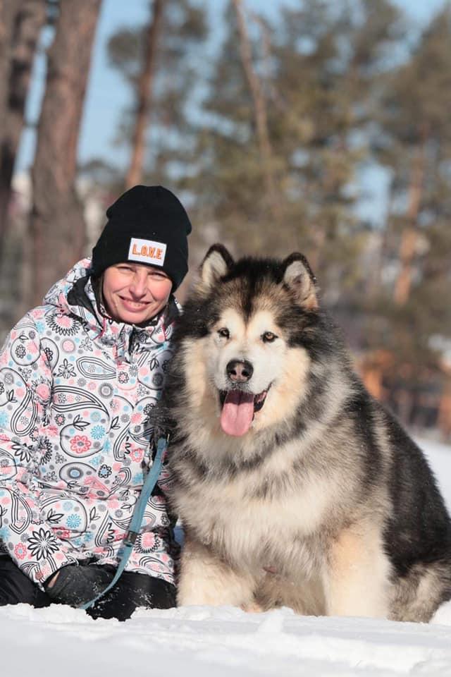 Alveig TT | Alaskan Malamute 