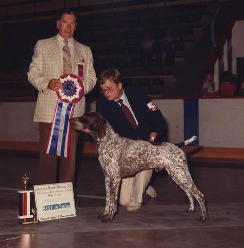 Malhaven Twentieth Century Ltd | German Shorthaired Pointer 