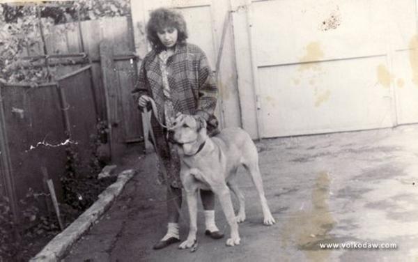 Ayuta | Central Asian Shepherd Dog 