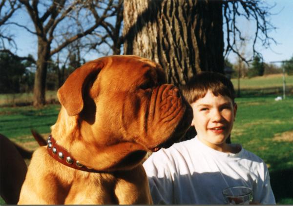 Fanny McElderry (Northland's Fanny) USBC 481 | Dogue de Bordeaux 