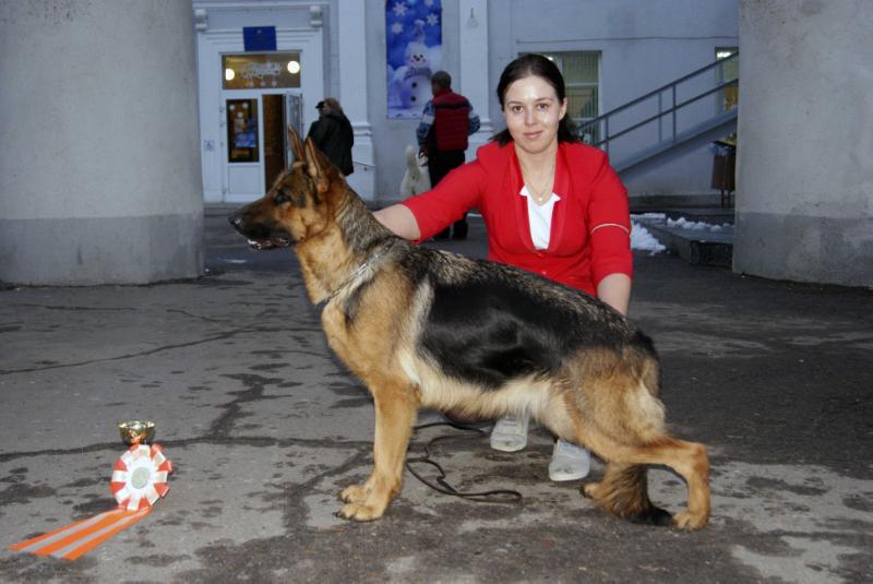 Yamina | German Shepherd Dog 