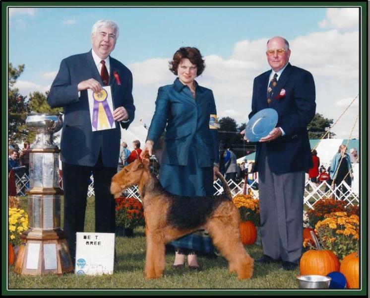 Tartan Scottshire Ultra Glide | Airedale Terrier 