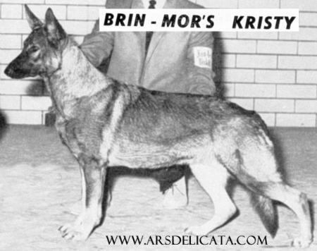 Brin-Mor's Kristy | German Shepherd Dog 