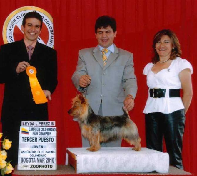 Tkenn del Claines Merlín | Australian Terrier 