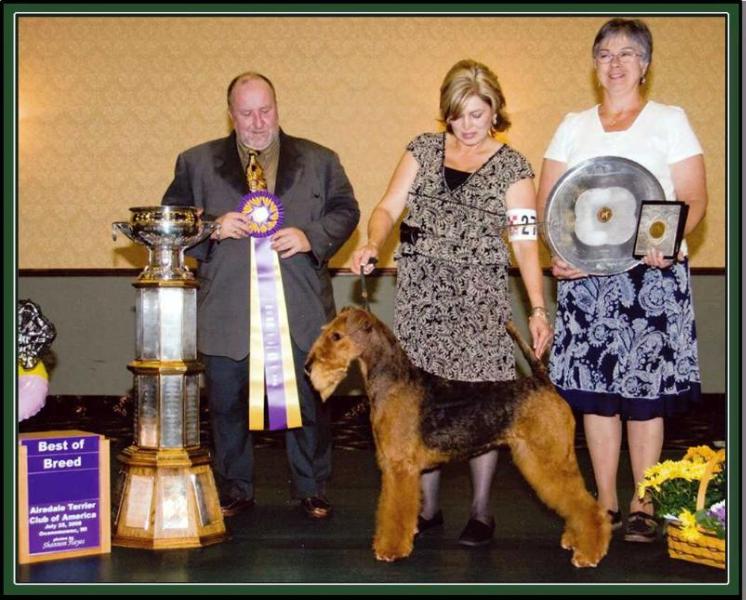 Huntwood’s Waltzing Mahtilda | Airedale Terrier 