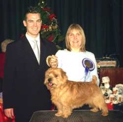 Kinsridge Free N' Easy | Norfolk Terrier 