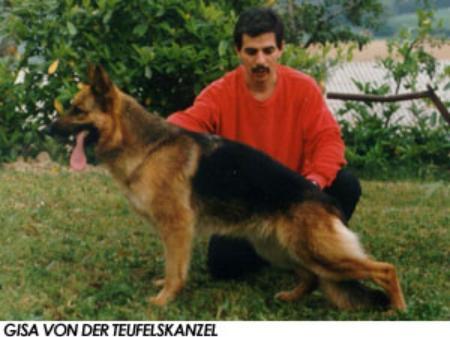 Gisa von der Teufelskanzel | German Shepherd Dog 