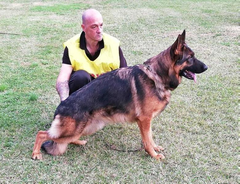 Kevin costner  de la bombonera | German Shepherd Dog 
