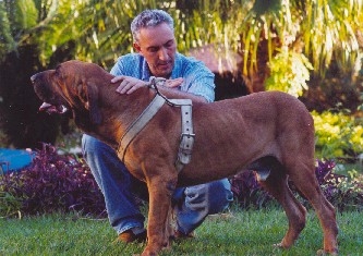 PIATA DO ALTO QUATIS | Fila Brasileiro 