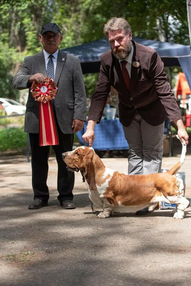 RUSSIAN PRIDE APOLLO CONQUEROR OF HEARTS | Basset Hound 