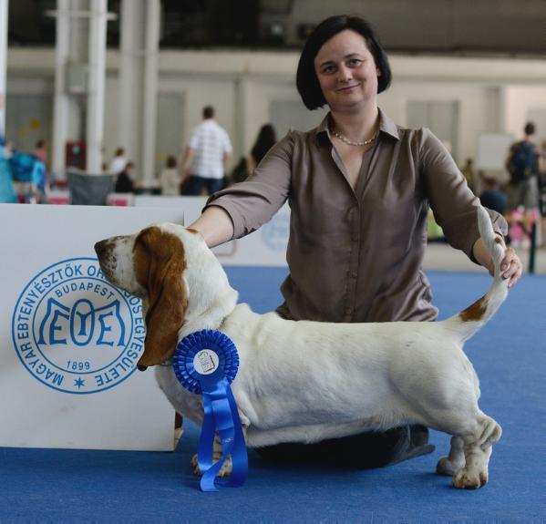 Odeta Lady Barnett's | Basset Hound 