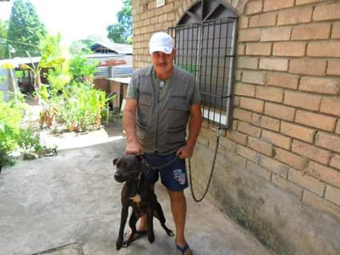 Santa Sofía Knls Barilla | American Pit Bull Terrier 