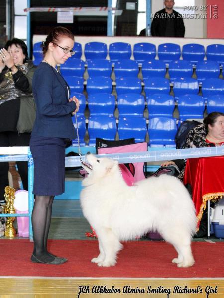 Alkhabor Almira Smiling Richard's Girl | Samoyed 