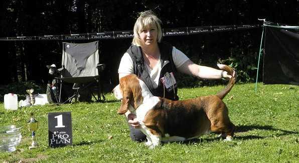 Annabell Annie van Hallen | Basset Hound 