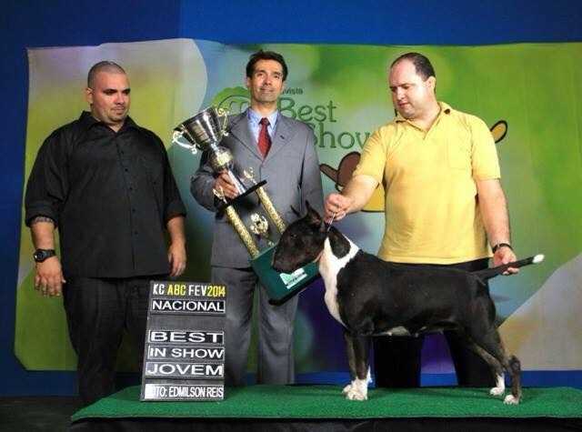 Rio do Areal Bernadeth | Bull Terrier 