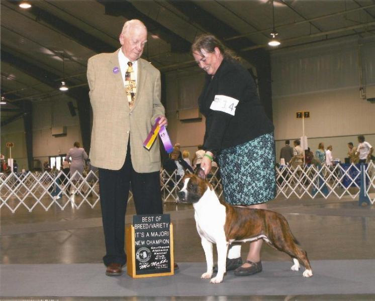 Backwoods Colours of Georgia From Royal Court | American Staffordshire Terrier 