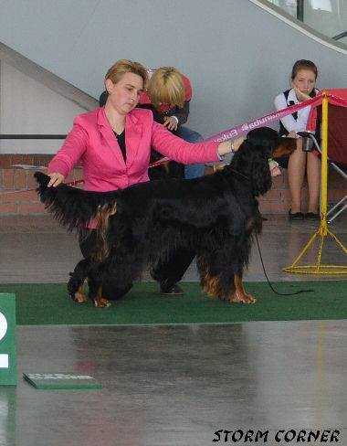 Lucky Happy Lola v.d. Mergelhoeve NJK,FCI-100-EJS'11,EJW'11, | Gordon Setter 