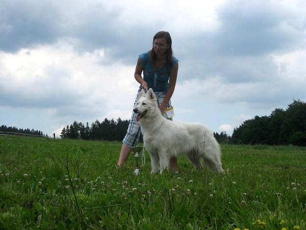 Luisa Acabo Czech | White Swiss Shepherd Dog 