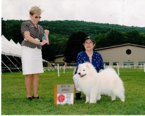 CRYSTAL TYME A WARP IN SPACE @ NORLITS | American Eskimo Dog 