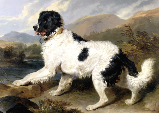 Lion [Sr Edwin Henry] {Landseer} | Newfoundland 