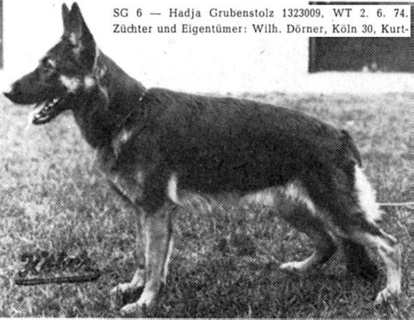 Hadja Grubenstolz | German Shepherd Dog 