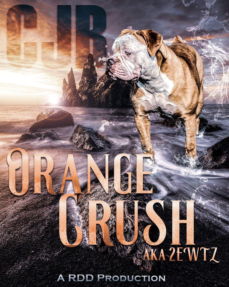 CJB’s Orange Crush of RDD | Olde English Bulldogge 