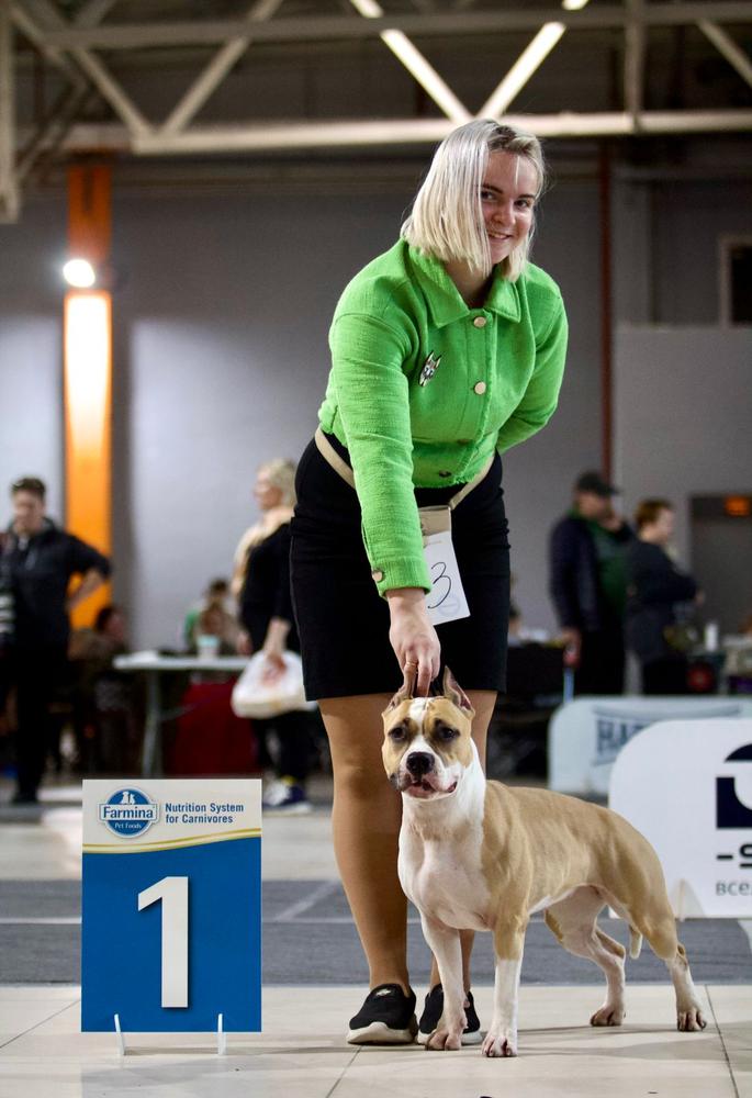 Tcenniy Prize Izida | American Staffordshire Terrier 