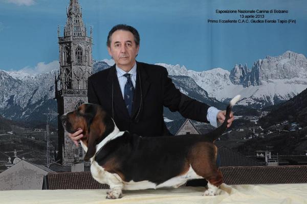 DA VINCI MORAVIA BRAY | Basset Hound 