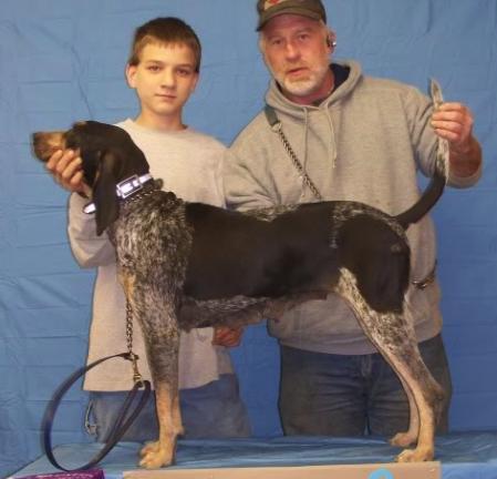 Tells Blue Katie | Bluetick Coonhound 