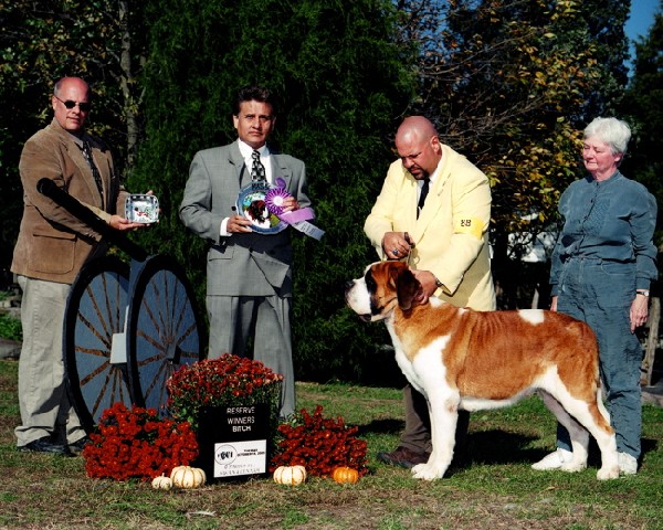 BENBARON'S PEPSI OF YONDO | Saint Bernard 