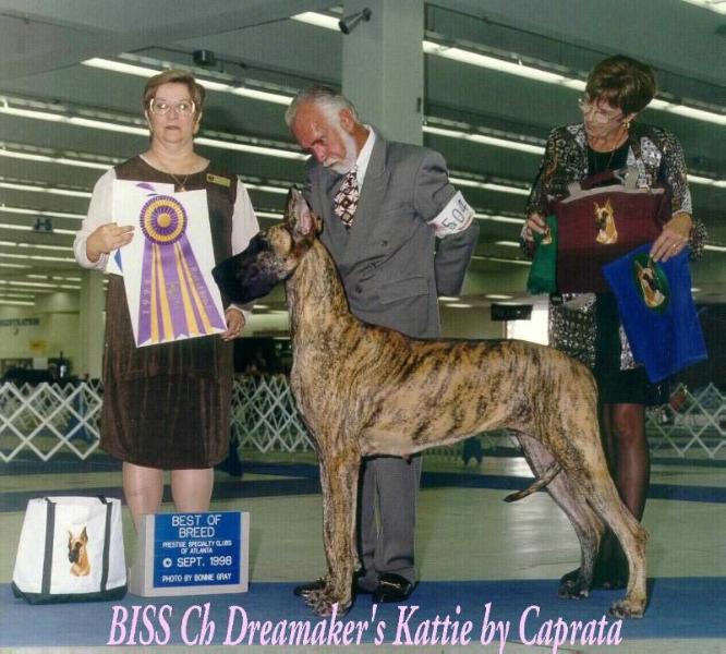 Dreamaker's Kattie By Caprata | Great Dane 