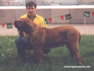 Higienopolis Boneca | Fila Brasileiro 