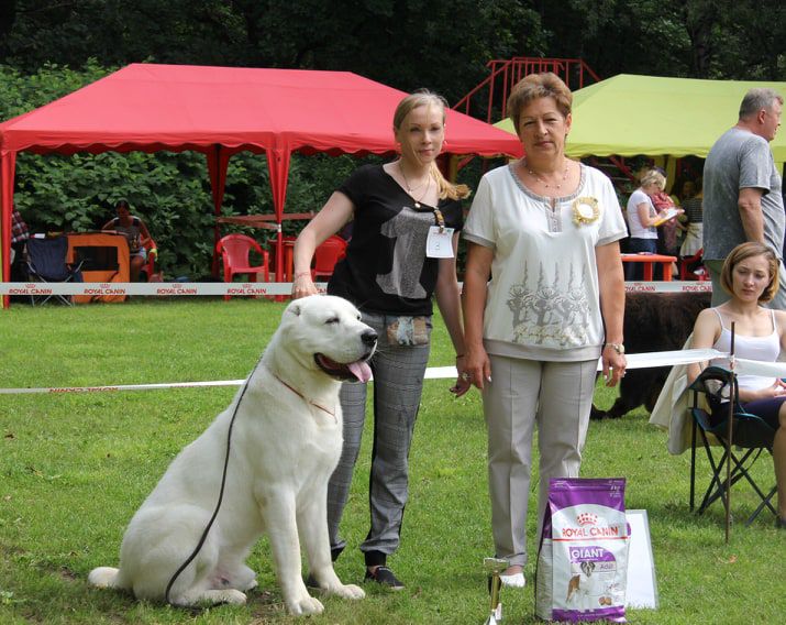 ISTOCHNIK FORTUNY URMAN DLYA KURGAN GRADA | Central Asian Shepherd Dog 