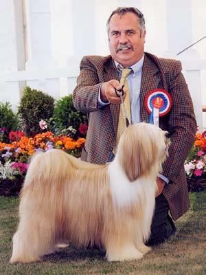 ARAKI FABULOUS WILLY | Tibetan Terrier 