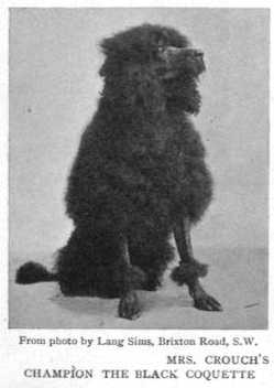 The Black Coquette (Mrs. Crouch's) | Poodle 